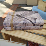 Dragonfly books